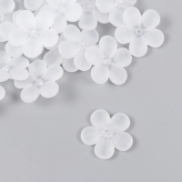 Бусины для творчества пластик "Цветочек белый матовый" набор 20 шт 2,2х2,2 см Бусины для творчества пластик "Цветочек белый матовый" набор 20 шт 2,2х2,2 см