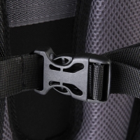 Рюкзак школьный, эргономичная спинка  &laquo;1 сентября: Girl&raquo; 39x32x14 см