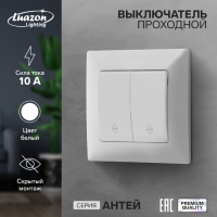 Выключатель проходной Luazon Lighting "Антей", 10 А, 2 клавиши, скрытый, белый Выключатель проходной Luazon Lighting "Антей", 10 А, 2 клавиши, скрытый, белый