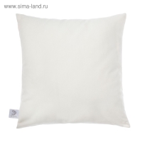 Наволочка декоративная &laquo;Этель&raquo; Moonlight 40х40 см, 100% п/э, велюр