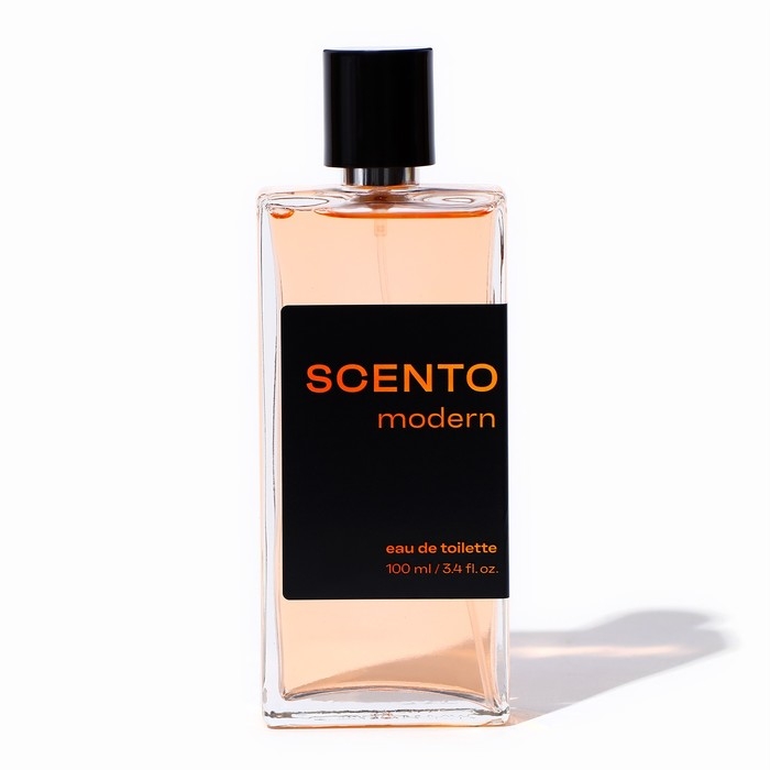 Туалетная вода мужская Dilis Scento Modern, 100 мл Туалетная вода мужская Dilis Scento Modern, 100 мл