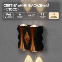 Светильник фасадный &laquo;Глосс&raquo;, FSD-046, 4 Вт, 3000К, 2 луча, IP65, 220 В, пластик, черный