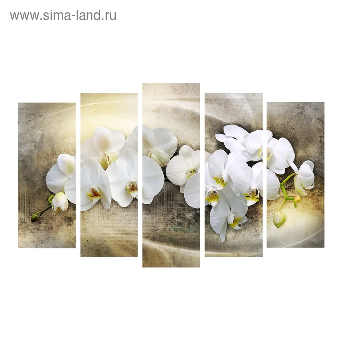 Картина модульная на подрамнике "Белый фаленопсис" 2-25*63; 2-25*71; 1-25*80:  125*80 см