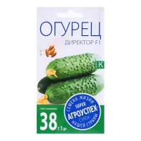 Семена Огурец Директор F1, семена Агроуспех 7шт Семена Огурец Директор F1, семена Агроуспех 7шт