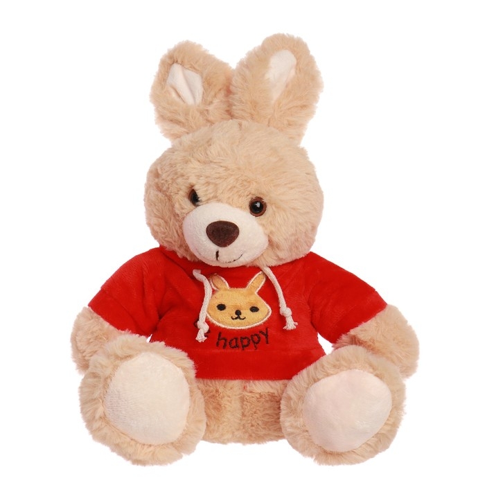 Мягкая игрушка &laquo;Зайчик в кофте&raquo;, цвета МИКС