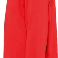 Футболка мужская с длинным рукавом Monarch 150 красная, размер S