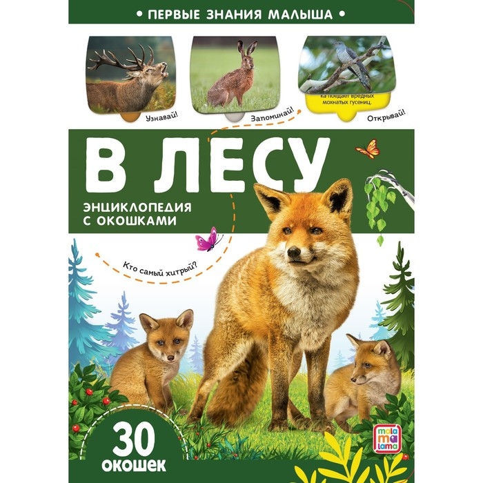 Книжка с окошками &laquo;В лесу&raquo;