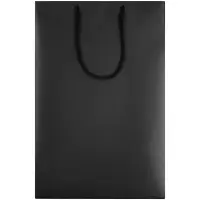 Пакет бумажный &laquo;Блеск&raquo;, средний, черный