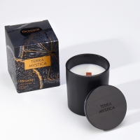 Ароматическая свеча "Breesal, TERRA MYSTICA", Апельсин, Груша, Ягоды Ароматическая свеча "Breesal, TERRA MYSTICA", Апельсин, Груша, Ягоды