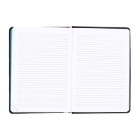 Ежедневник датированный 2025 года, deVENTE. Flag, B5 168 листов, deVENTE. Duo, твердая обложка кожзам с поролоном, шелкография, перфорация, ляссе, блок 70 г/м2