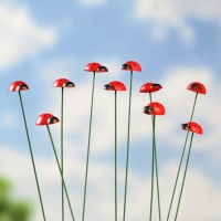 Штекер "Божья коровка Дарли" 2,5см, длина 25см, набор 10шт Штекер "Божья коровка Дарли" 2,5см, длина 25см, набор 10шт