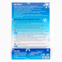 Набор для проведения праздника &laquo;Новогодняя коллекция: Новогодний квест&raquo;, 20 х 30 см