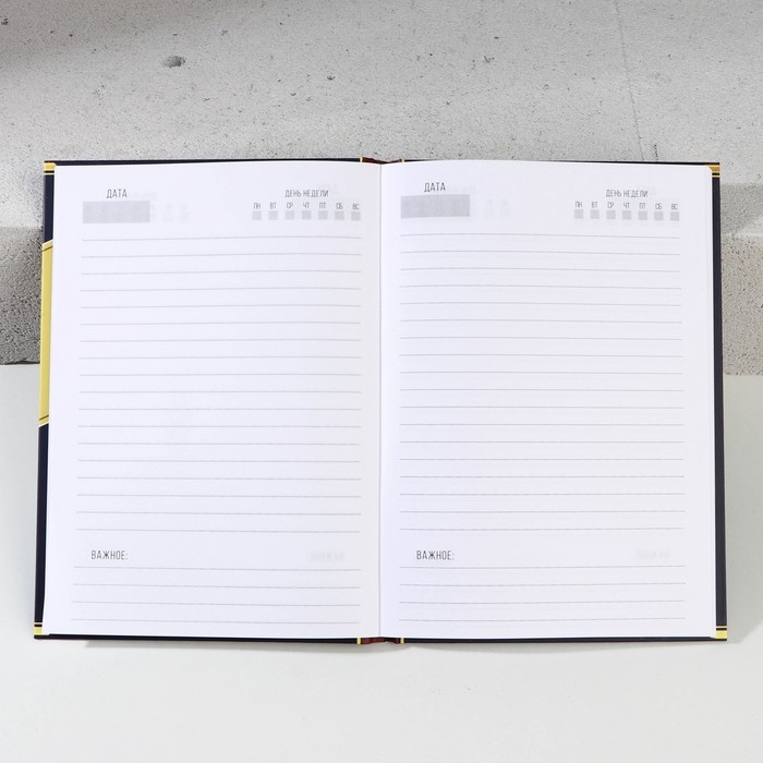 Новогодний подарочный набор косметики &laquo;Богатства и процветания&raquo;, гель для душа во флаконе виски 250 мл и ежедневник, Новый Год