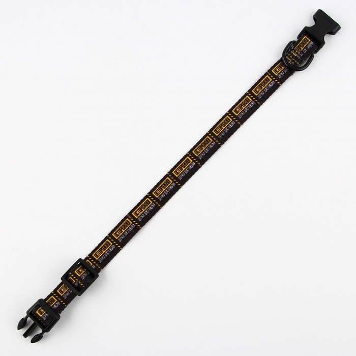 Ошейник &laquo;Осторожно&raquo;, застёжка - фастекс, 2 см 25-40 см