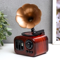 Сувенир музыкальный механический "Граммофон" 17х9,5х9,5 см