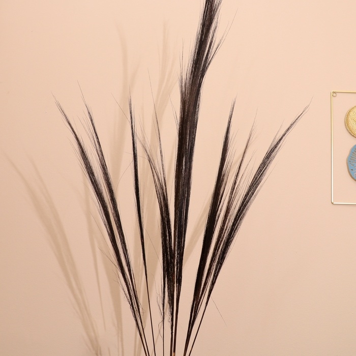 Сухоцвет набор 120 см чёрный