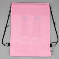 Мешок для обуви &laquo;Хочешь? Делай!&raquo; нетканное полотно, размер 30 х 40 см