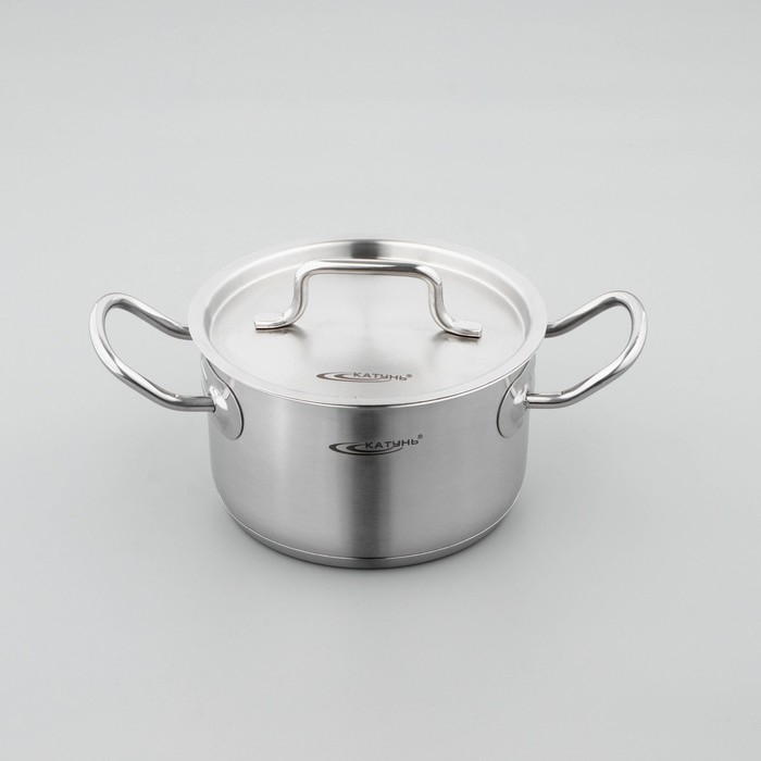 Кастрюля &laquo;Общепит&raquo;, 2 л, d=16 см, h=10 см, капсульное дно, индукция