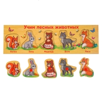 Рамка - вкладыш «Учим лесных животных», 5 элементов Рамка - вкладыш «Учим лесных животных», 5 элементов