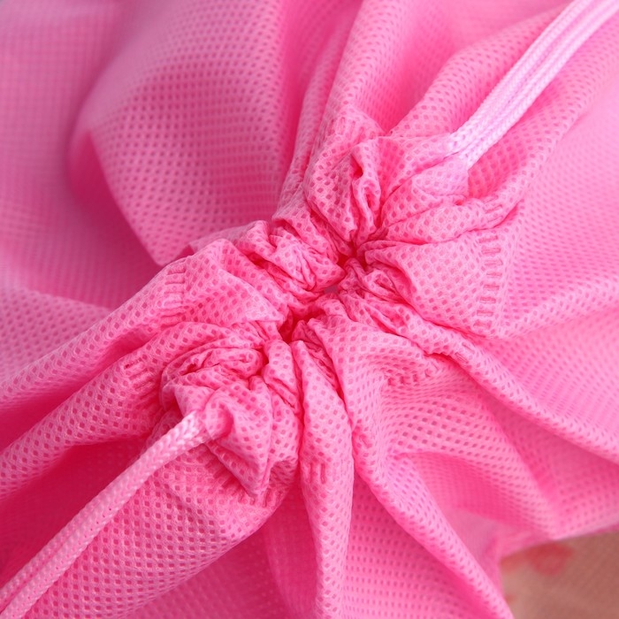 Мешок для обуви &laquo;Школьницы&raquo; полиэстер, размер 30 х 40 см