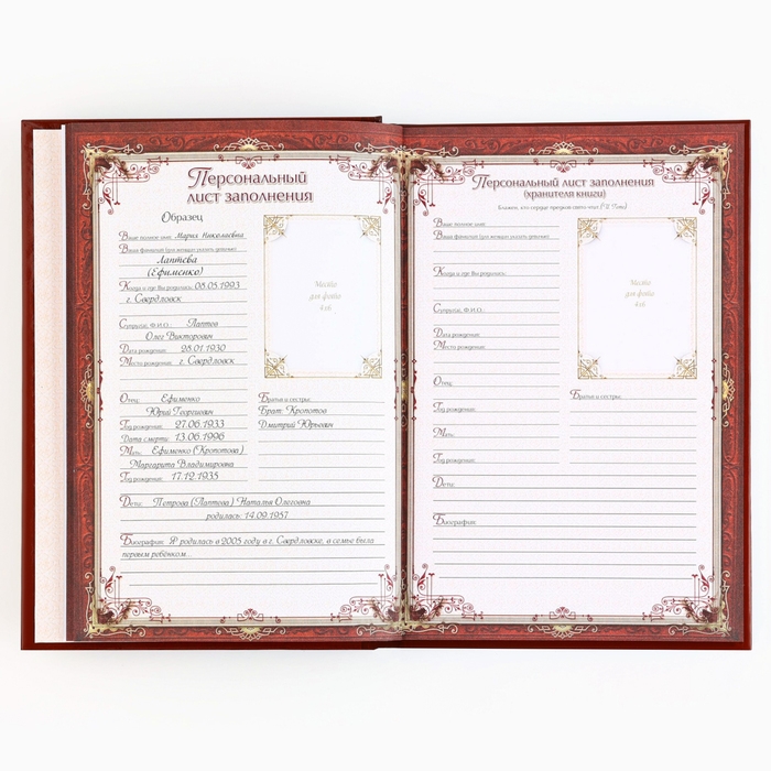 Родословная новогодняя книга с пером в шкатулке &laquo;Новый год: Каждый день&raquo;, 26 х 8 х 27 см, набор