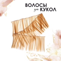 Волосы - тресс для кукол &laquo;Прямые&raquo; длина волос: 15 см, ширина:100 см, цвет № 27