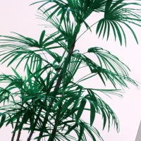 Наклейка 3Д интерьерная Драконово дерево 60*35см Наклейка 3Д интерьерная Драконово дерево 60*35см