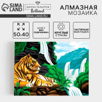 Алмазная мозаика с частичным заполнением на холсте «Тигр у водопада», 40 х 50 см Алмазная мозаика с частичным заполнением на холсте «Тигр у водопада», 40 х 50 см