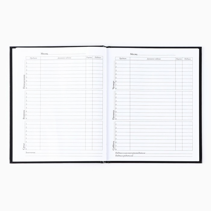 Дневник школьный для 1-11 класса, в твердой обложке, 40 л. &laquo;Знаний у меня не отнять&raquo;