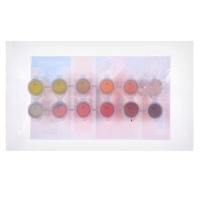 Набор акриловых красок &laquo;&lrm;Огненное настроение&raquo;&lrm;, 12 цветов