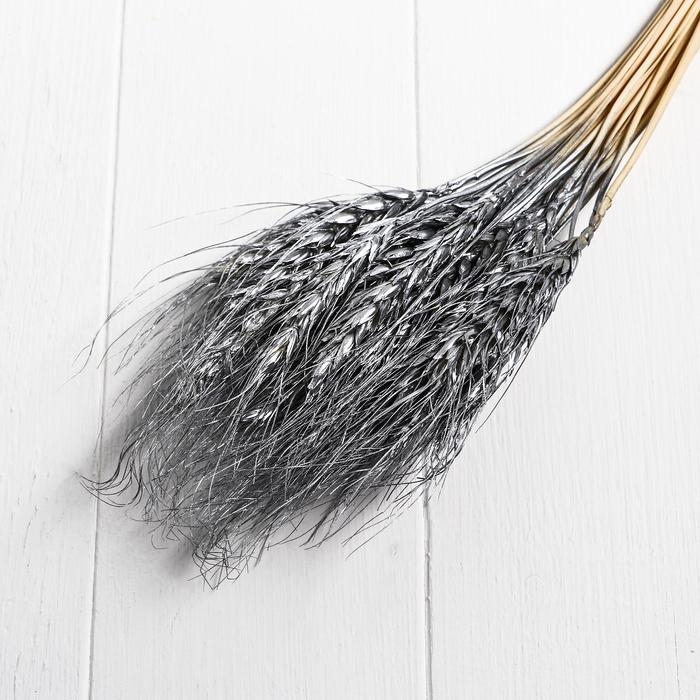 Сухой колос пшеницы, набор 30 шт., цвет серебряный Сухой колос пшеницы, набор 30 шт., цвет серебряный