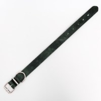 Ошейник кожанный двухслойный 3 см, ОШ 35-47 см, изумрудный Ошейник кожанный двухслойный 3 см, ОШ 35-47 см, изумрудный