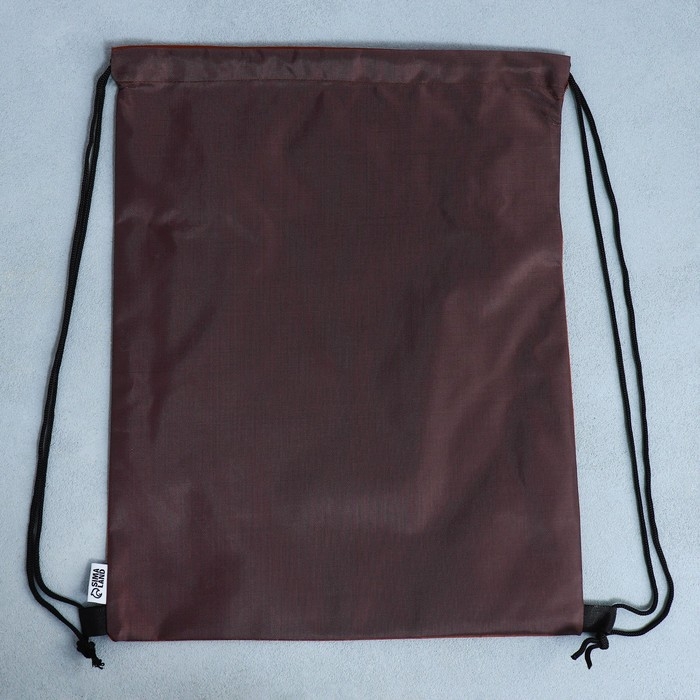 Мешок для обуви &laquo;1 сентября: Teddy Bear&raquo; с дополнительными элементами, 30 х 40 см