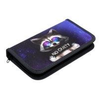 Пенал 1 секция, 115 х 205 мм, с наполнением 16 предметов, Calligrata "Енот" ламинированный картон, 30П26/set Пенал 1 секция, 115 х 205 мм, с наполнением 16 предметов, Calligrata "Енот" ламинированный картон, 30П26/set