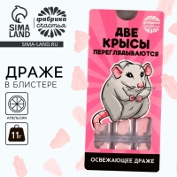 Драже &laquo;Крысы&raquo; в блистере, 11 г.