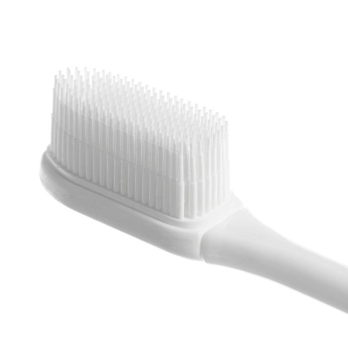 Игровой набор «Макет челюсти человека», 12 × 9 см, с щёткой, щётка цвета МИКС Игровой набор «Макет челюсти человека», 12 × 9 см, с щёткой, щётка цвета МИКС