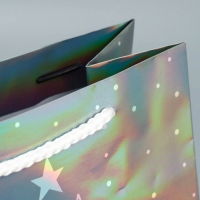 Пакет голографический &laquo;Тепла&raquo;, MS 18 х 23 х 10 см, Новый год