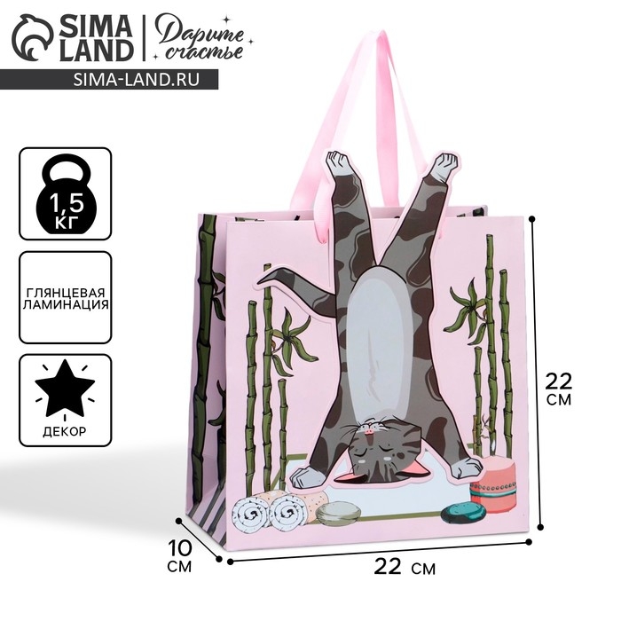 Пакет подарочный, упаковка, &laquo;Йога&raquo;, 22 х 22 х 10 см