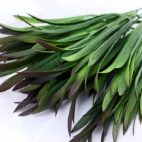 Букет "Эстрагон галант" 30 см, микс Букет "Эстрагон галант" 30 см, микс