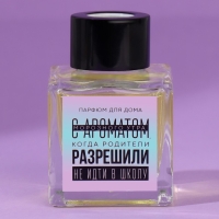 Диффузор ароматический «Аромат морозного утра», апельсин, 50 мл. Диффузор ароматический «Аромат морозного утра», апельсин, 50 мл.