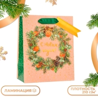 Новый год. Пакет подарочный "С новым годом!", люкс, 18 х 22,3 х 10 см. Новый год. Пакет подарочный "С новым годом!", люкс, 18 х 22,3 х 10 см.