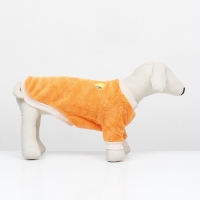 Свитер "Мандарин", велюр, размер XL (ДС 40, ОШ 33, ОГ 50 см), оранжевый Свитер "Мандарин", велюр, размер XL (ДС 40, ОШ 33, ОГ 50 см), оранжевый