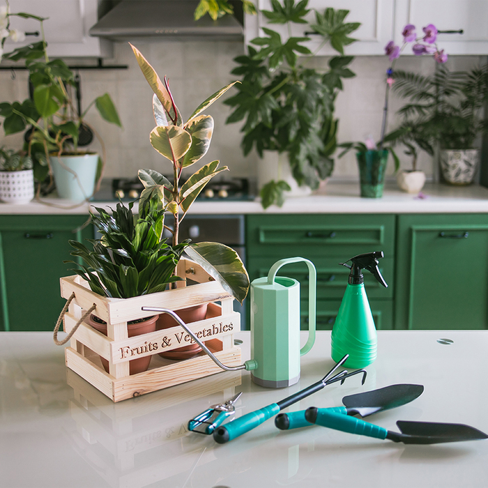 Ящик для овощей и фруктов, 29 &times; 23 &times; 19 см, деревянный, Greengo