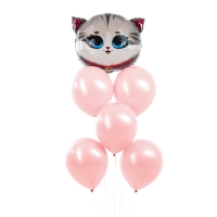 Набор воздушных шаров &laquo;Кошечка&raquo;, розовый, латекс, фольга, 6 шт.