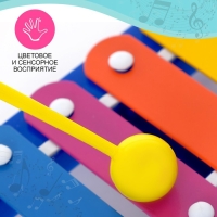 Музыкальная игрушка &laquo;Металлофон&raquo;, МИКС