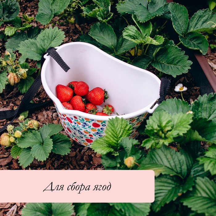 Ёмкость для сбора ягод, 3 л, &laquo;Яркие ягодки&raquo;, белая
