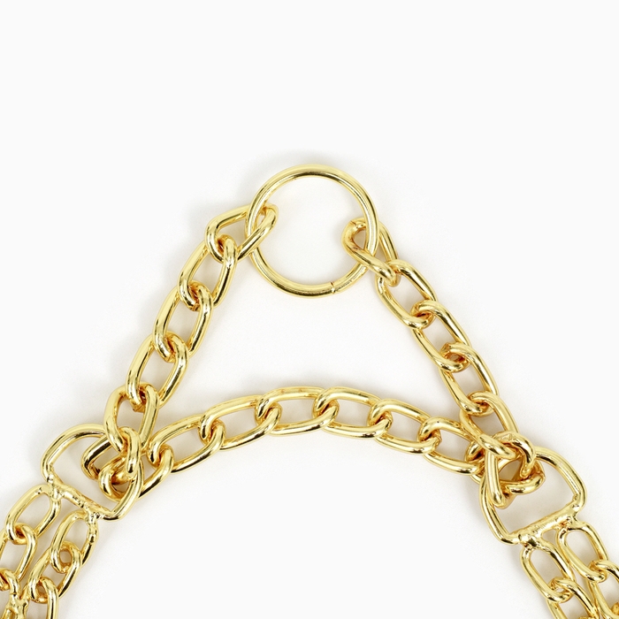 Ошейник - полуудавка металлический двухрядный, 40 см, толщина проволоки 2 мм, золотистый Ошейник - полуудавка металлический двухрядный, 40 см, толщина проволоки 2 мм, золотистый