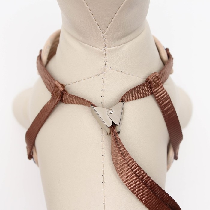 Комплект амуниции с мягкой шлейкой "Поцелуи",  поводок 120 х 1 см, розовый