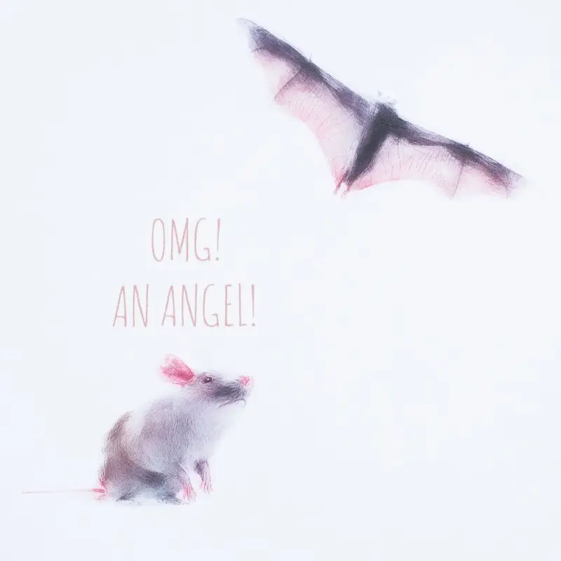 Футболка женская An Аngel, белая, размер S