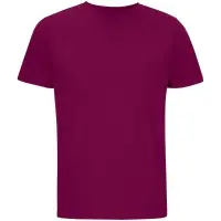 Футболка унисекс Legend, фиолетовая (сливовая), размер XXL